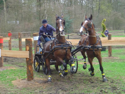 Foto: Wilco van den Top